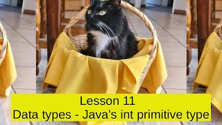 Celebrity Lesson 11   Data types   Java's int primitive type Net Worth