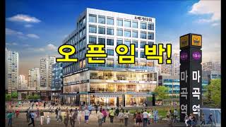 강서 마곡지구 마지막 프리미엄 마곡메가타워 031.593.0002