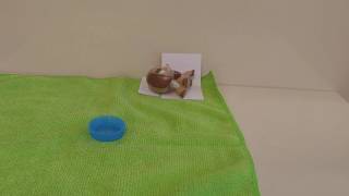 Minişim Uyuyakaldı2