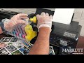 How to top up a visual ink refill cartridge for an Epson P800 with ink