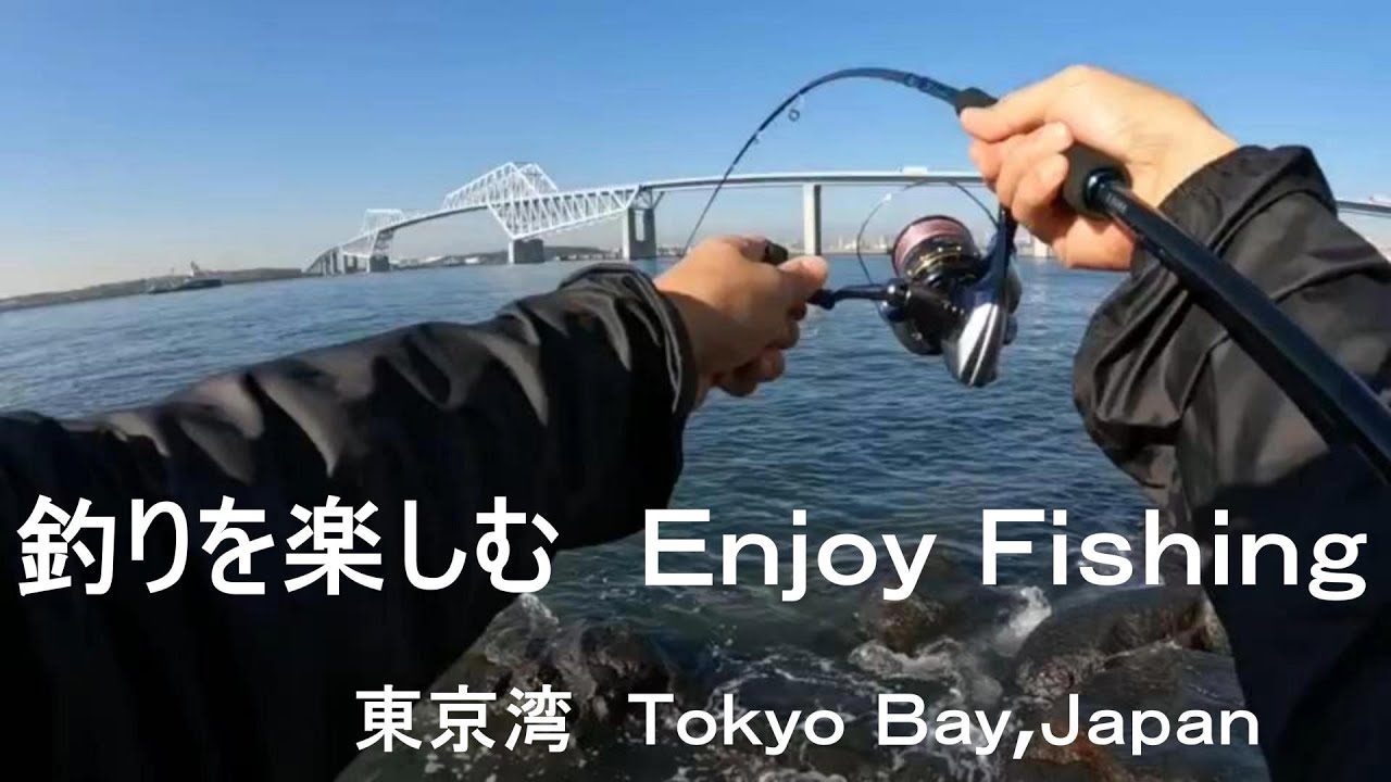 釣りを楽しむ 東京湾 Enjoy Fishing Tokyo Bay,Japan rescued cat vlog28