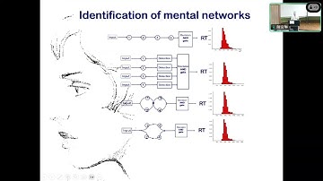 20250321 Enhancing the Diagnostic Validity of Factorial Methods in Visual and Memo_Mario Fific