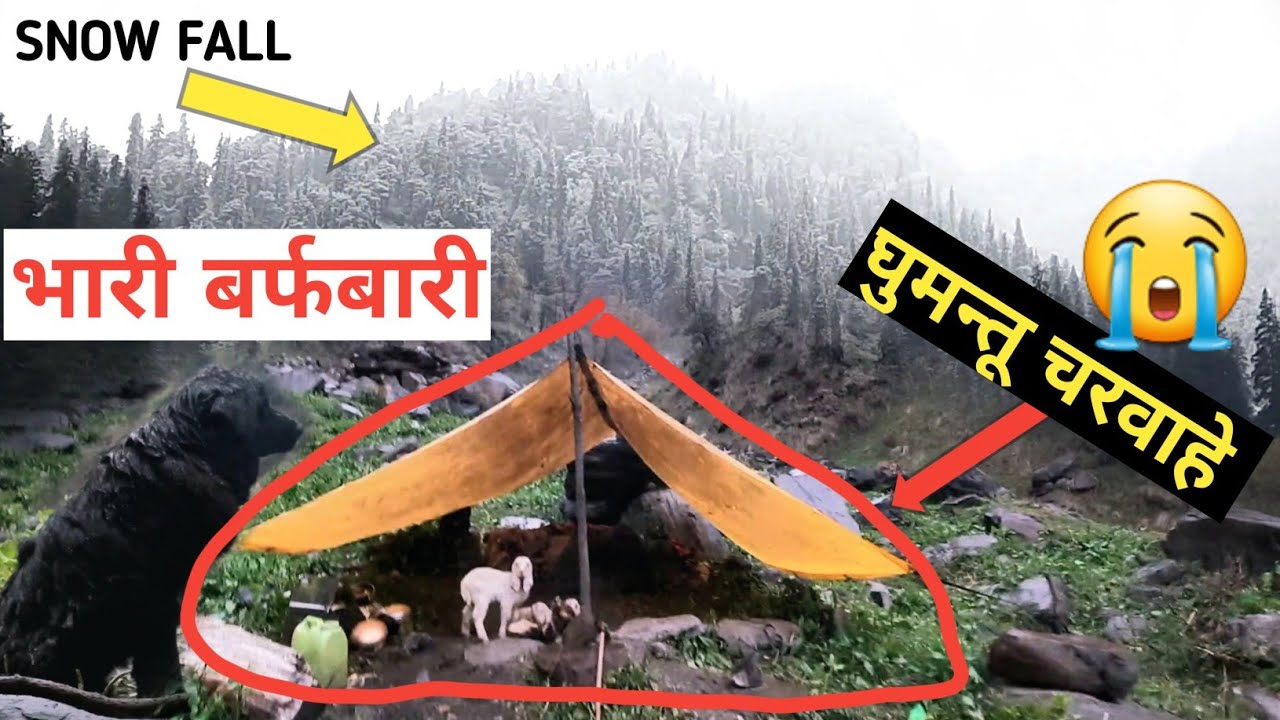 बर्फीले तूफ़ान में ठंड मार देगी आज. Nomadic shepherd lifestyle Vlog. Nomadic lifestyle of India 🇮🇳