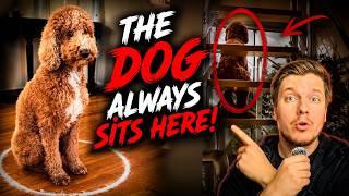 They Thought Their Dog Was a Skinwalker... Then They Tested It