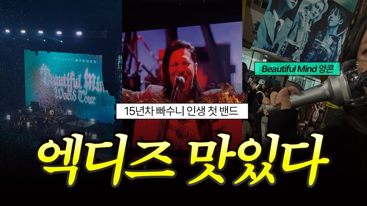 엑디즈 콘서트 처음가봄ㅋㅋ | 뷰마콘 앙콘 | 빌런즈 브이로그