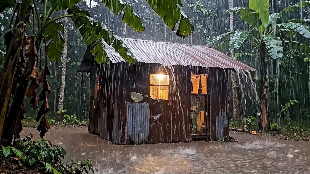 Heavy Rain and Thunderstorm Sounds in a Tropical Forest | ASMR for Sleeping