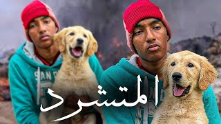 فيلم مغربي... 