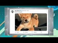 ¿Shiba Inu y Elon Musk? La criptomoneda arrasa hoy por un twitt