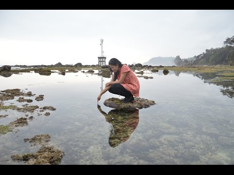 Pantai Pidakan, Pantai di Pacitan dengan Bebatuan yang Elok Pantai Pidakan, Pantai di Pacitan dengan Bebatuan yang Elok