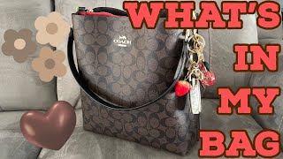 What’s in my coach bucket bag