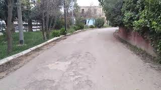 sidi bel abbes jardin public 04/04/2022