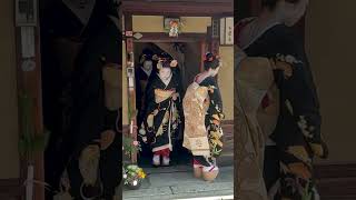 外国人観光客も感動する京都花街の芸舞妓さん　 舞妓 kyoto  京都