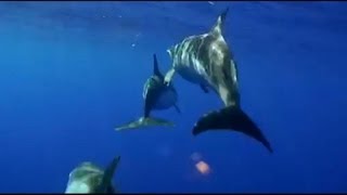 MARE NOSTRUM día