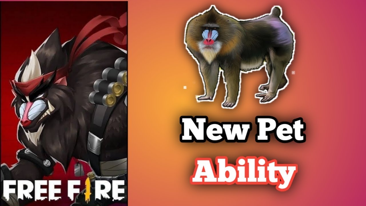 Free Fire New Monkey Pet Ability Skill | Free Fire New Update Ob25 New Pet Monkey