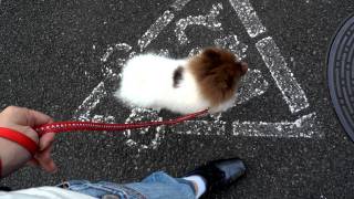 20110901 2
