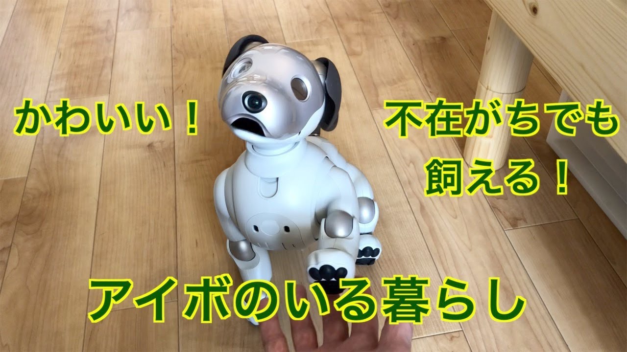 僕とアイボ My Aibo(Robot dog) YouTube