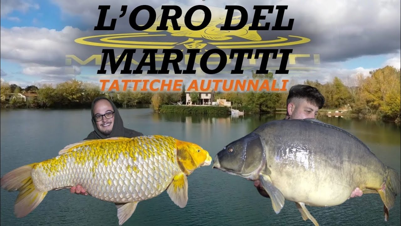 🍁 L'Oro del Mariotti 🍁 - Carpfishing in Autunno - Catturo una KOI ENORME!!! 