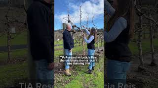 Workshop For Apple Growers Crop Load Management