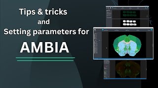 AMBIA tutorial part 3 - Parameter tuning