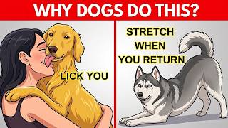 15 Weird Dog Behaviors Explained — The Hidden Meanings Behind Them