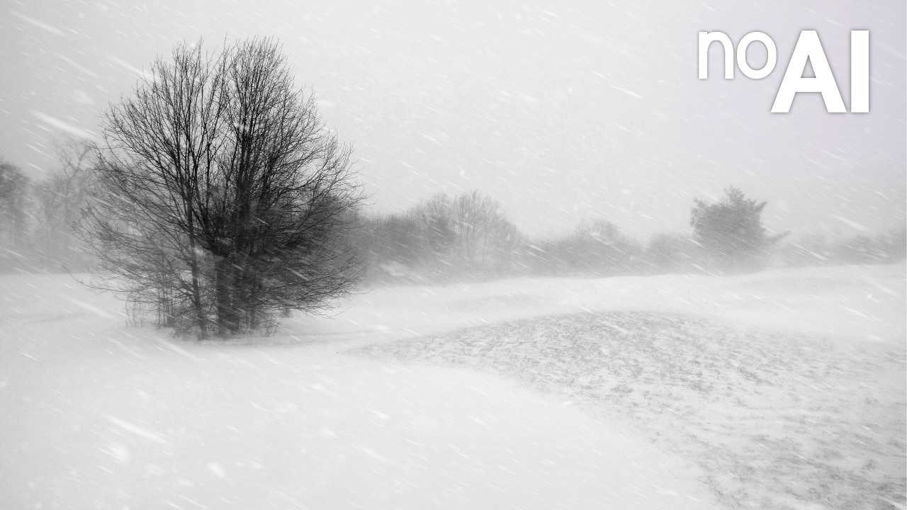 Intense Blizzard Sounds for Sleep💨10 Hours SNOW in Wind Sounds🧊White ...