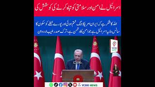 Erdogan Slams Israel as Enemy of Peace After Iran-US War Ends