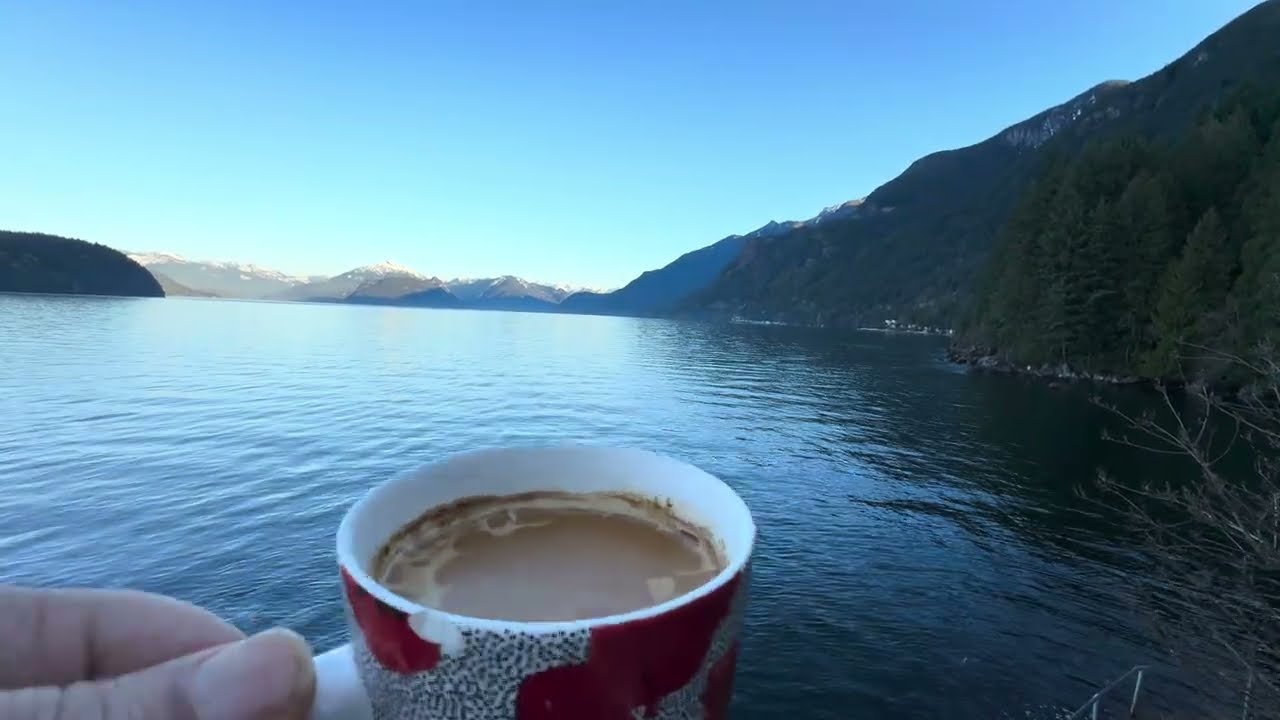 Enjoy Your Daily Coffee With Vahid & Eagles🦅 🦅 ☕️🌿 | Ocean View 🌊🦅 Cheers 😊☕️