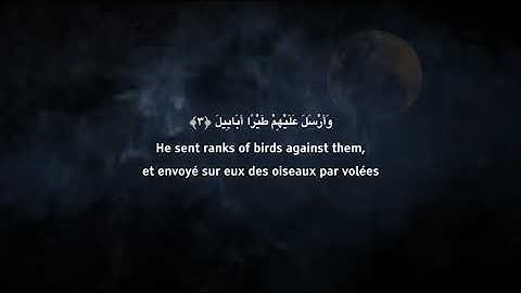 Surah Al Feel    سورة الفيل   تلاوة هادئة