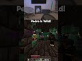 Pedro Is Wild On DonutSMP!