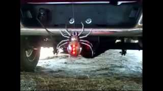 Hitch Critters - Black Widow