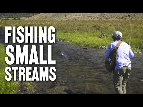 How to Fish Small Streams with Tom Rosenbauer