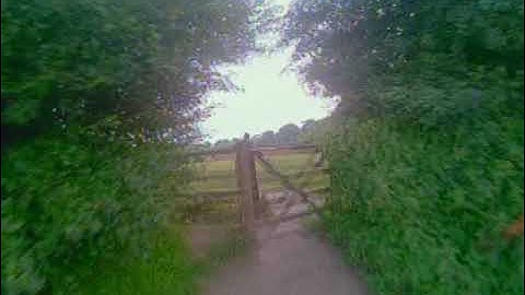 Flies, shoots, and trees - Tinyhawk Freestyle 2 - Loops, Gaps, PID and tune testing.