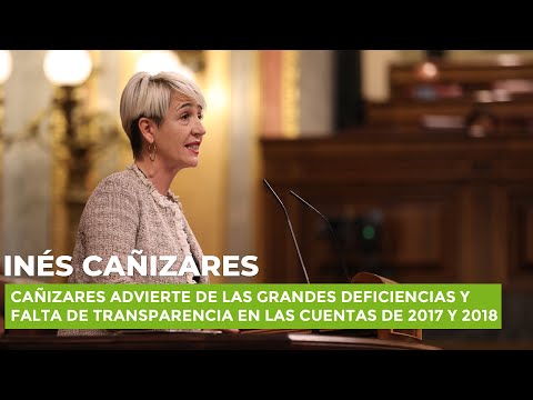 Cañizares advierte de las deficiencias y falta de transparencia en las cuentas de 2017 y 2018