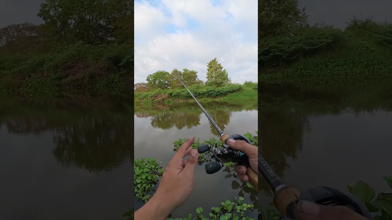 อีก1วิธีการใช้ เจริก น้าโหน่งสระแก้ว