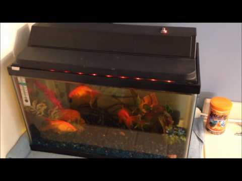 Arduino (based) Aquarium