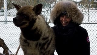 MTKS Winter Hyena Hijinx (Gopro Studio 2 Test)