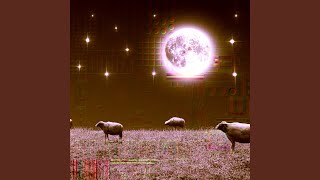 Silent Echoes of Slumber