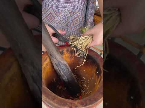 น้ำพริกเนื้อ อาหารพื้นบ้านชาวไทลื้อ สิบสองปันนา Xishuangbanna 西双版纳 Life Diary