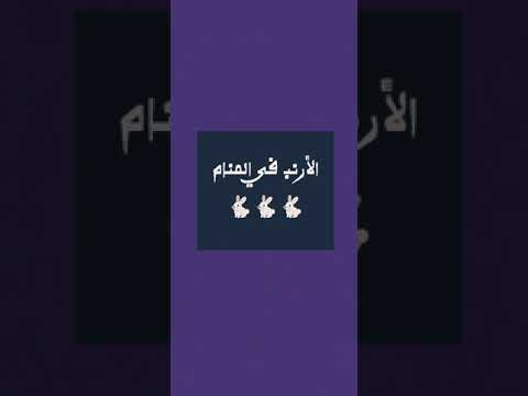 رؤية الأرنب في الحلم