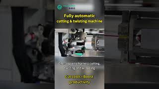 HPC-5020 Full-Automatic Cutting and Stripping Machine