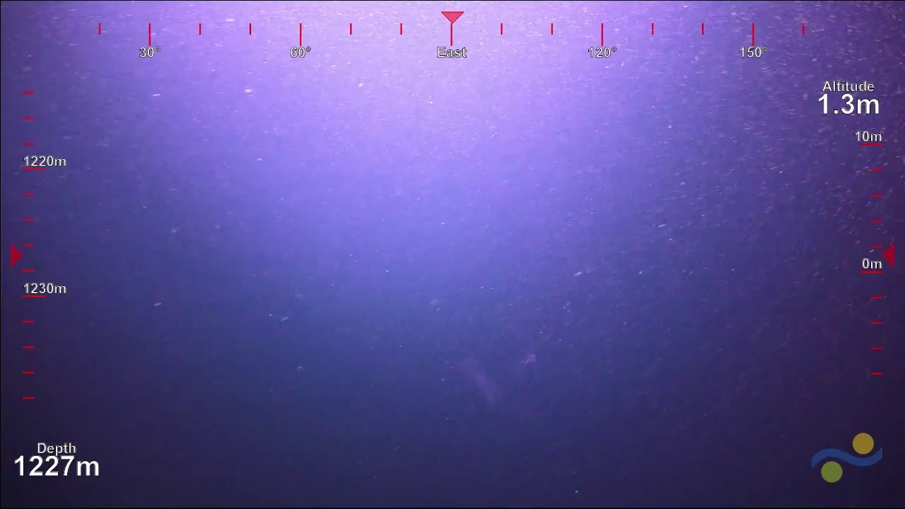 ROV SuBastian Dive 267 - Heceta Seep Site