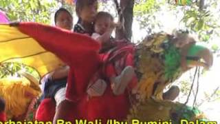 PSW IN PASUNG WALI 8 mangan turu bae