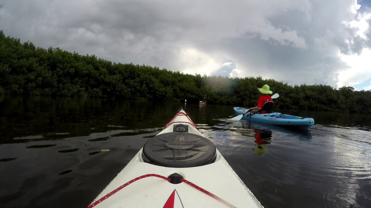 Kayaking Weedon Island St. Pete FL YouTube