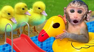 If You’re Happy And You Know It |  CoComelon Nursery Rhymes & Kids Songs | Bon Bon Monkey Baby Songs