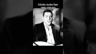 Engin Nurşani Gözün Aydın İşte Oldu Dileğin. Resimi