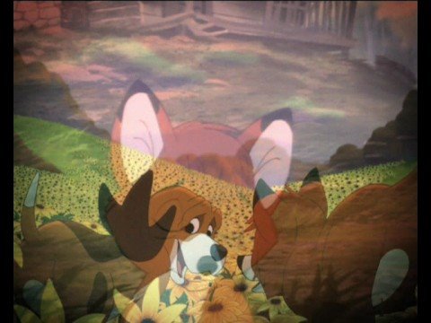 The Fox and the Hound
