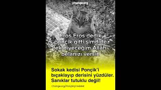 #ponçikiçinadalet