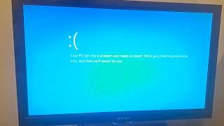 Oggy Salon Bob Screaming has BSOD (HP Z400)