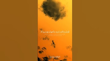 ﴿يا أيها الذين آمنوا﴾ صلاح عثمان حالات واتس تلاوة قرآن