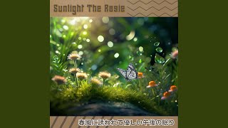 Sunlit Path Harmony